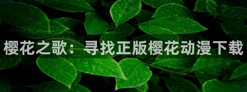 火狼动漫免费观看