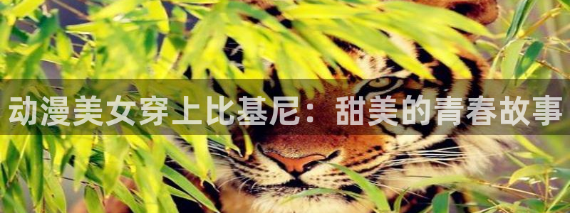 火狼动漫网动漫最新动漫