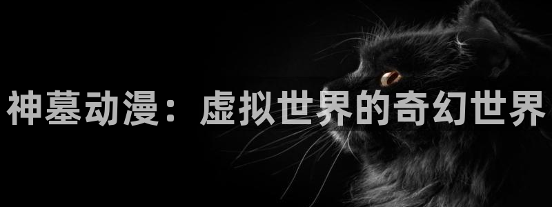 《千鹤的开发日记》火狼动漫：神墓动漫：虚拟世界的奇幻世界